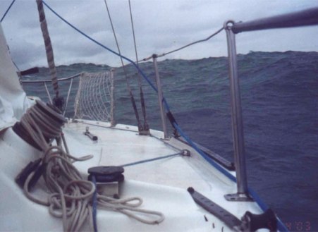 20071107043853-14.jpg