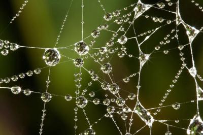 20081107005126-diamantes.jpg