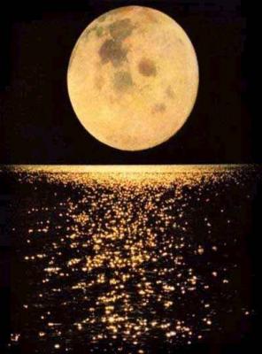 20081128033249-1luna.jpg